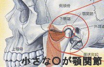 八王子顎関節